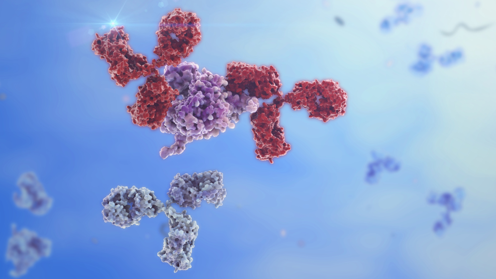 Das Bild zeigt eine Computerillustration von zwei Antikörpern, die an ein Protein binden.